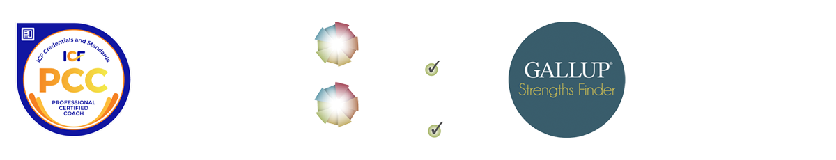 Professional coaching certifications including ICF Professional Certified Coach (PCC), EQ-i 2.0 and EQ 360 certifications, Gallup StrengthsFinder, and Leadership Circle Profile certifications